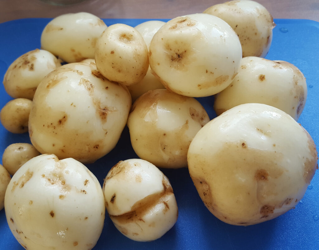 Årets potatis av Christina Måneskiöld