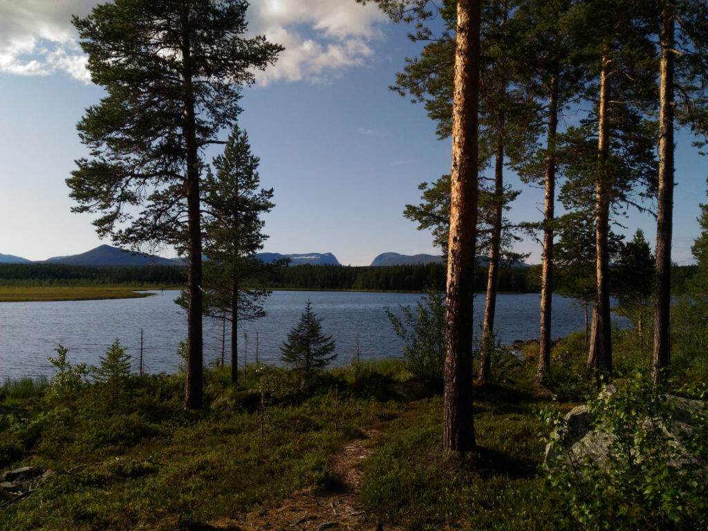 Hem från Helags, Härjedalen. Copyright: Camilla Davidsson