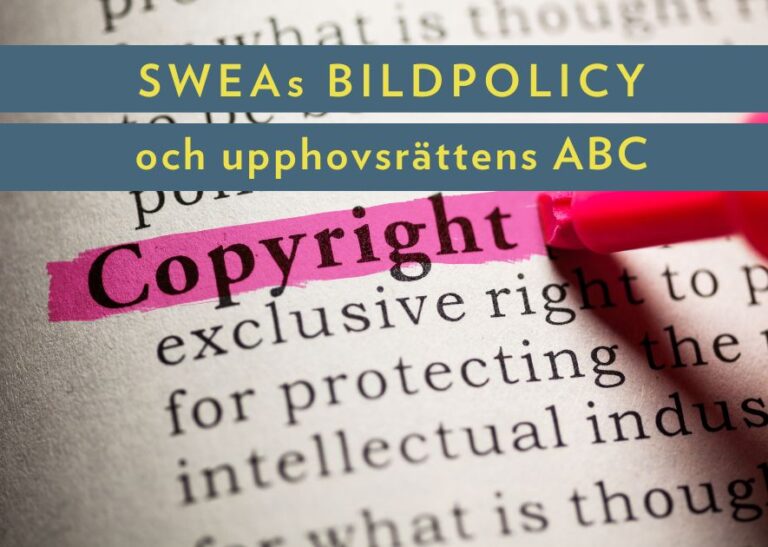 Bildpolicy-Bild-1Bildpolicy-Bild-1